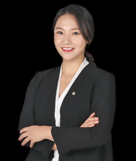 서울학교폭력변호사 undefined