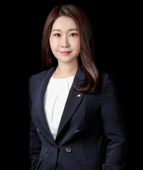 서울학교폭력변호사 undefined